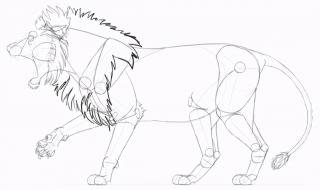 手绘入门基础教程