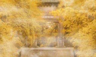 乘风破浪诗句 我愿乘风起