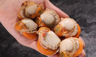 元贝驾考科目三视频看不了 元贝驾考科目三